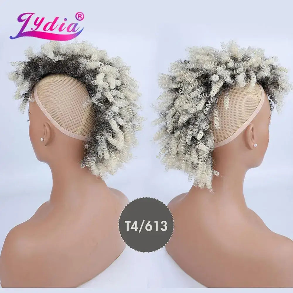 New Arrivals: Stylish Lydia Synthetic Afro Kinky Curly Options - T4 613