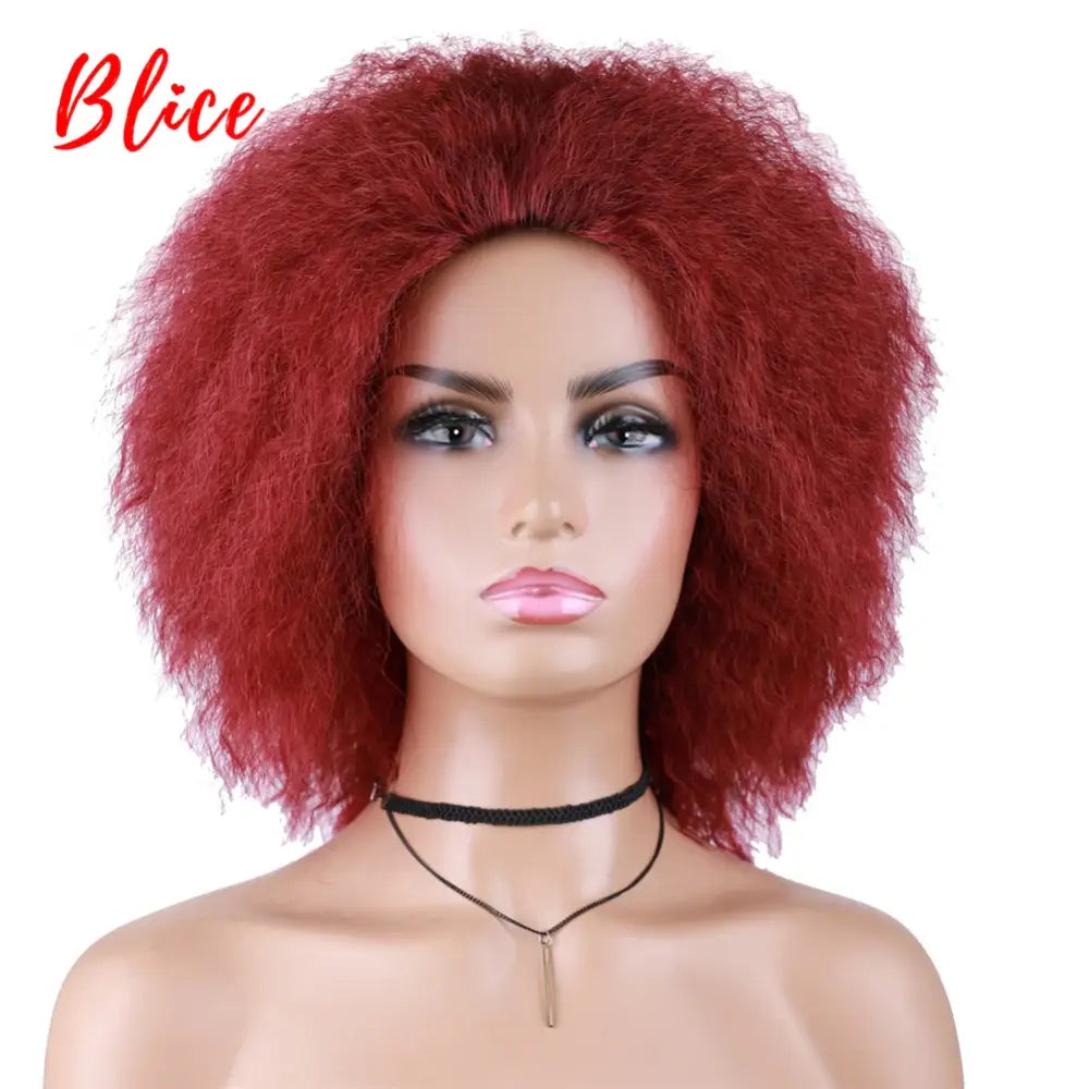 New Arrivals: Trendy Clothing and Kinky Straight Synthetic Wigs at Queen Afro - Bug / 6inches