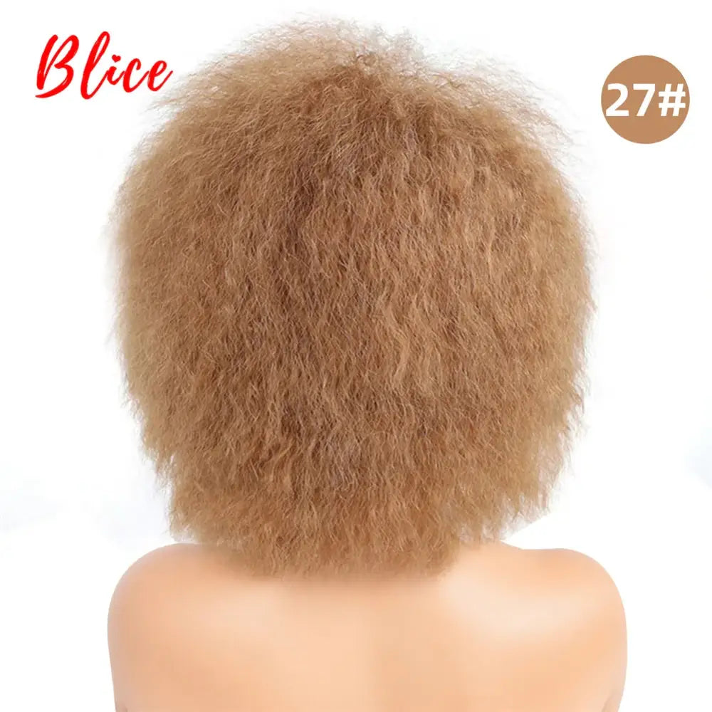 New Arrivals: Trendy Clothing and Kinky Straight Synthetic Wigs at Queen Afro - #27 / 6inches