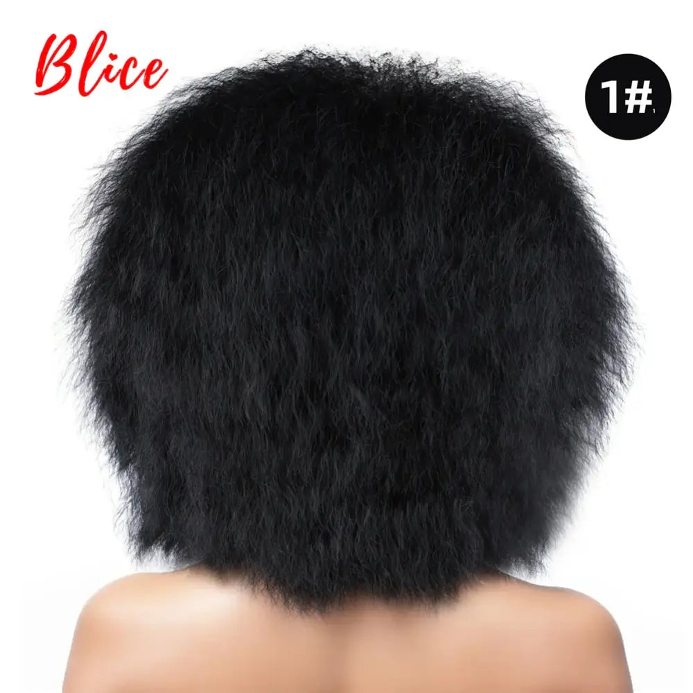 New Arrivals: Trendy Clothing and Kinky Straight Synthetic Wigs at Queen Afro - #1B / 6inches