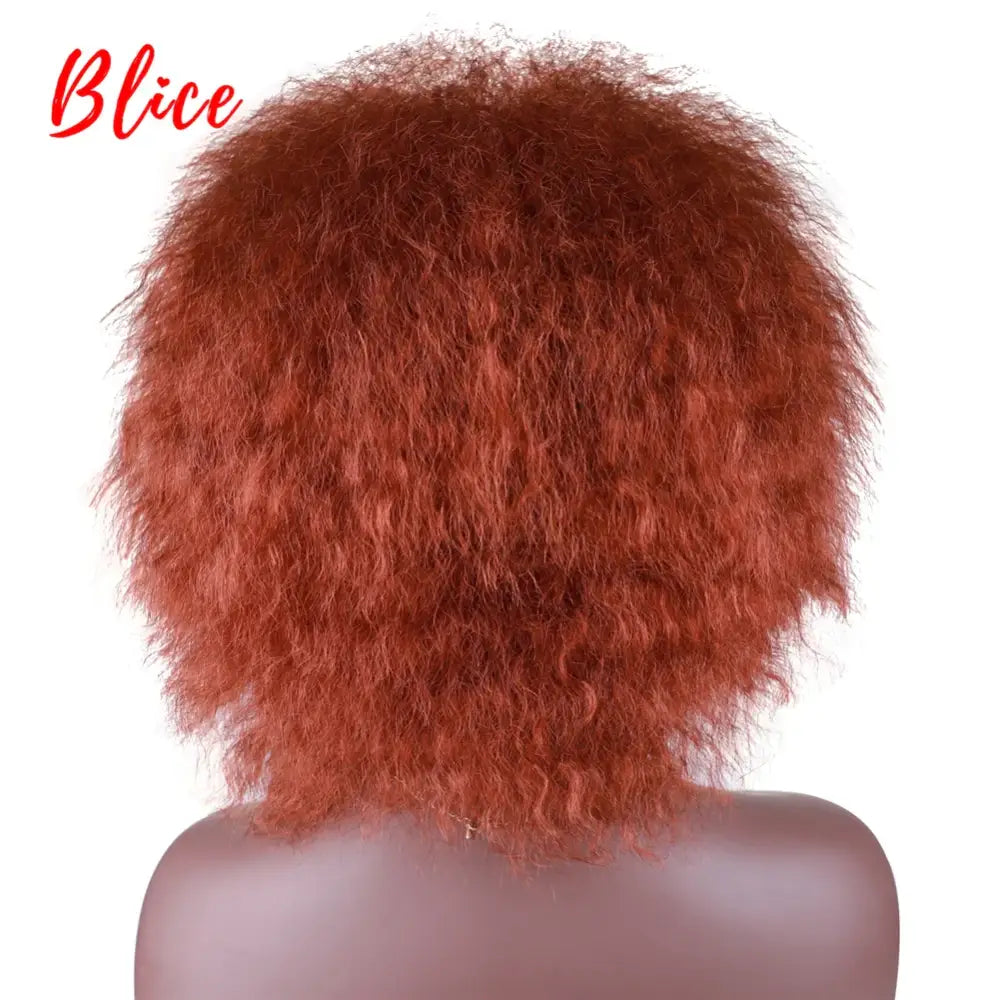 New Arrivals: Trendy Clothing and Kinky Straight Synthetic Wigs at Queen Afro - #350 / 6inches