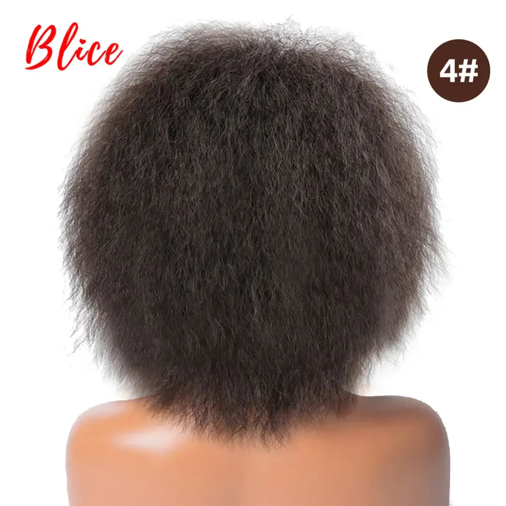 New Arrivals: Trendy Clothing and Kinky Straight Synthetic Wigs at Queen Afro - #4 / 6inches