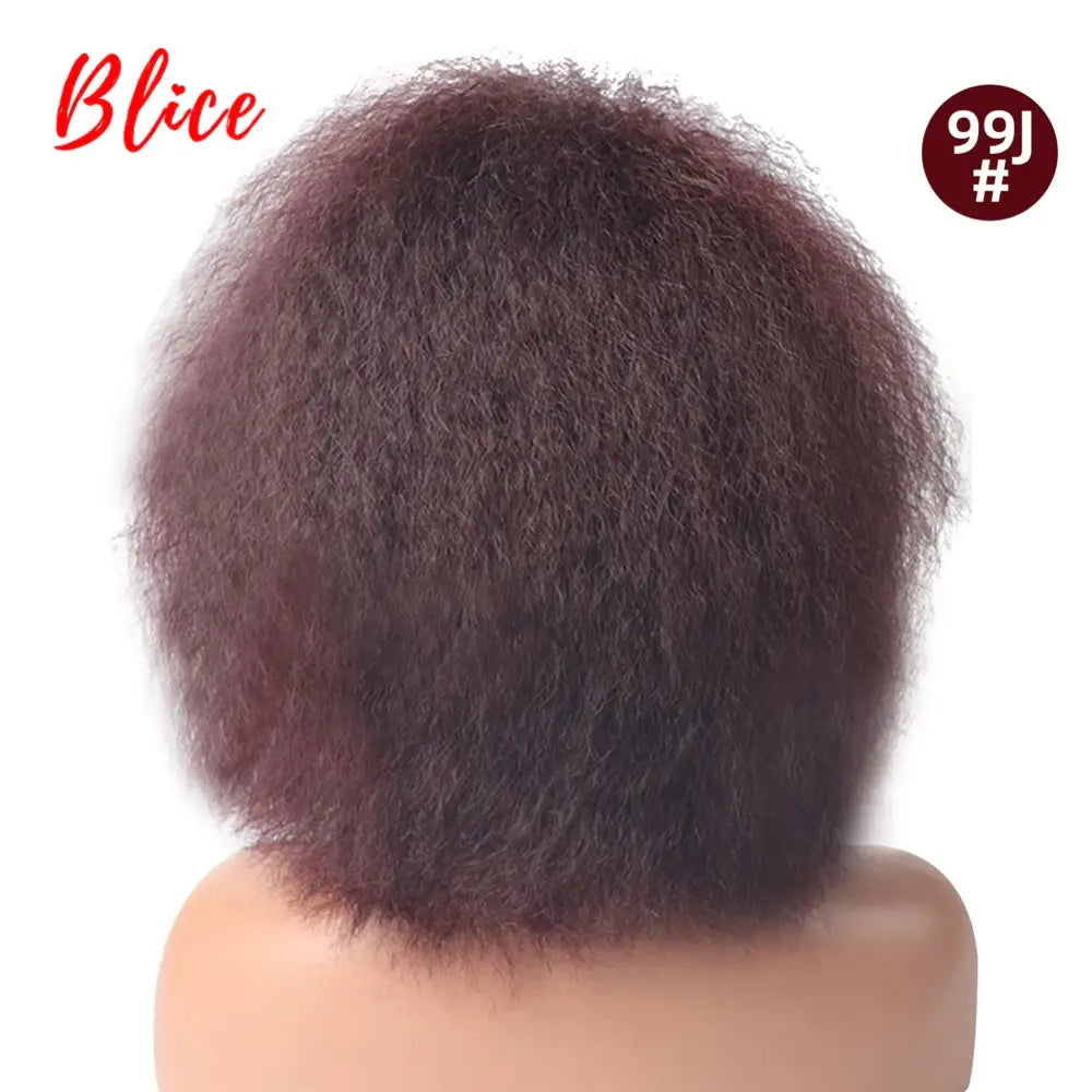 New Arrivals: Trendy Clothing and Kinky Straight Synthetic Wigs at Queen Afro - #99J / 6inches