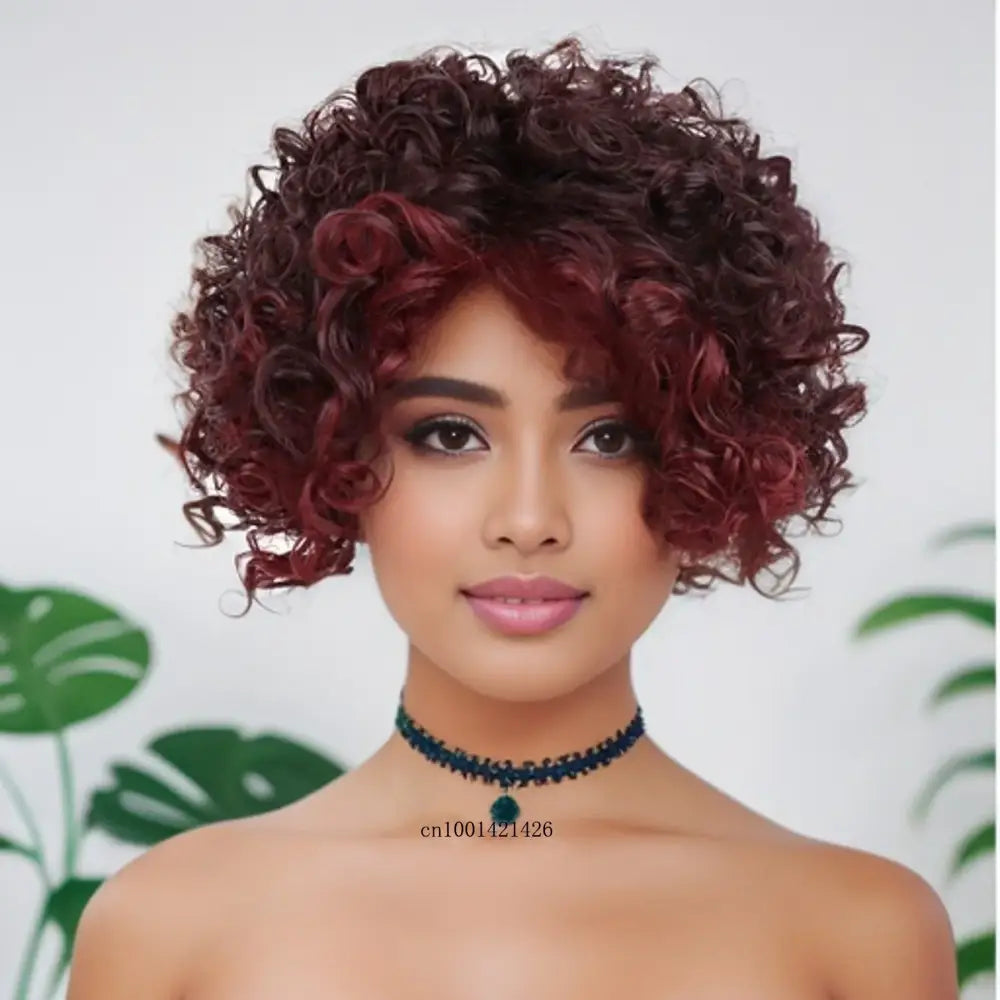 New Arrivals: Trendy Short Afro Curly and Curly Bob Wigs - Mix Red