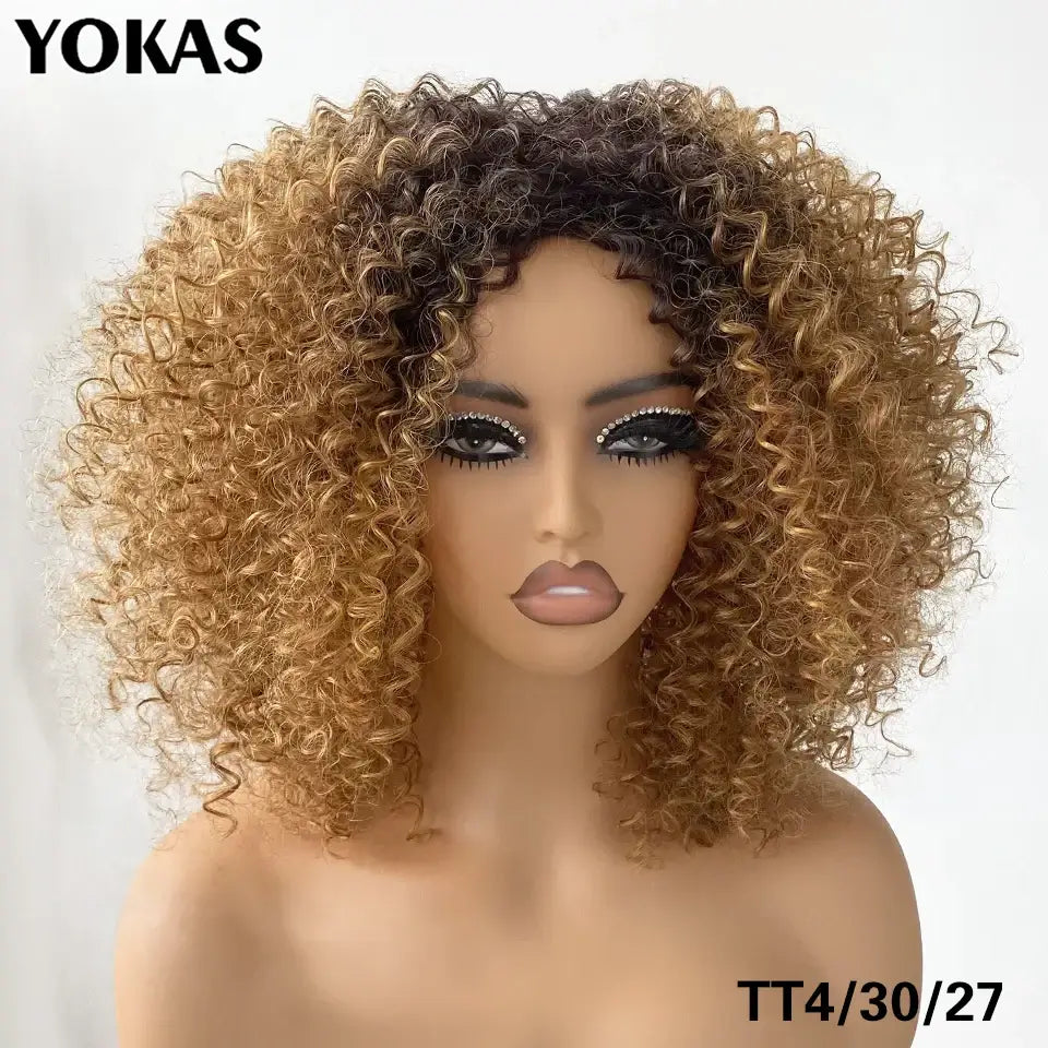 New Arrivals: Trendy Styles and Afro Kinky Wigs for Every Occasion - TT4-30-27 / 1pc / 14inches