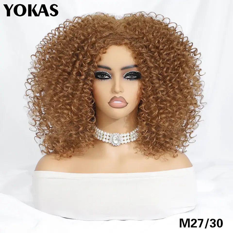 New Arrivals: Trendy Styles and Afro Kinky Wigs for Every Occasion - M27-30 / 1pc / 14inches