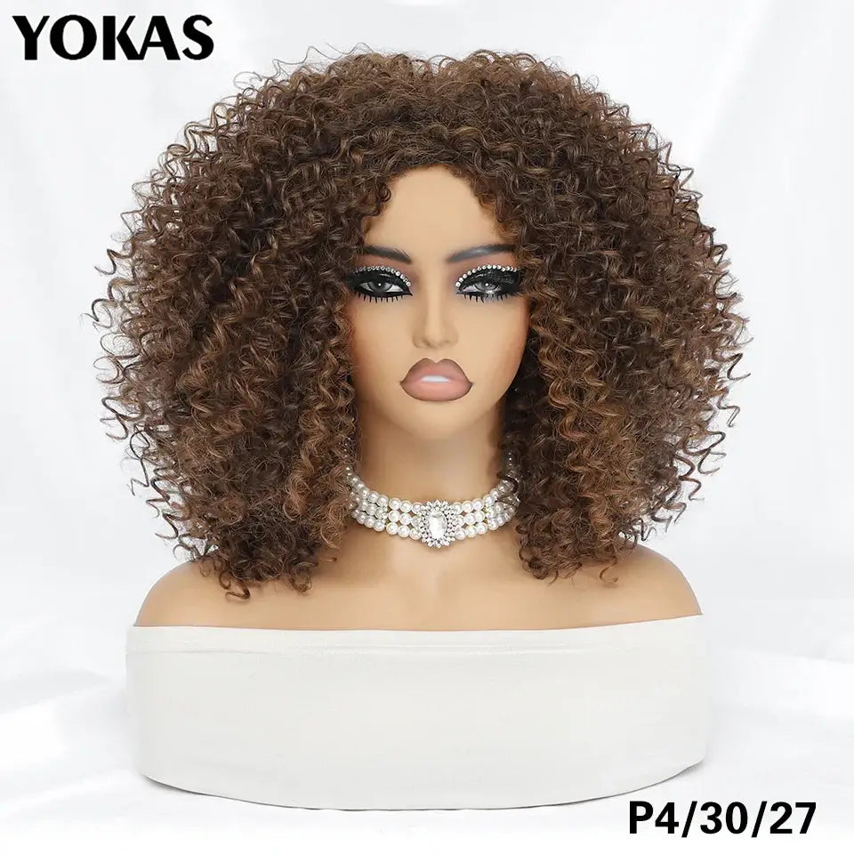 New Arrivals: Trendy Styles and Afro Kinky Wigs for Every Occasion - P4-30-27 / 1pc / 14inches