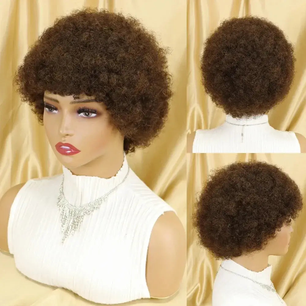 New Arrivals: Unique Afro Kinky Curly Human Hair Styles - Brown / 14inches