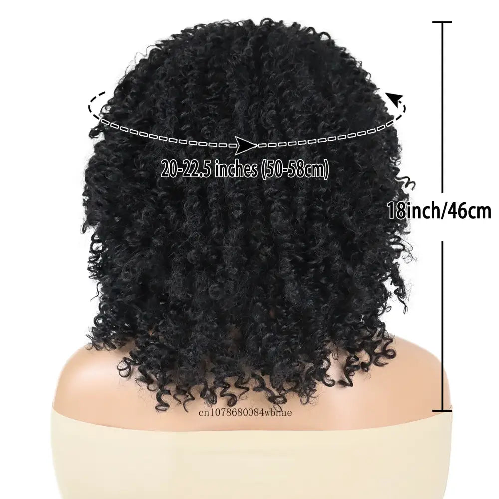 New Arrivals: Unique Black Afro Curly Wigs and Products