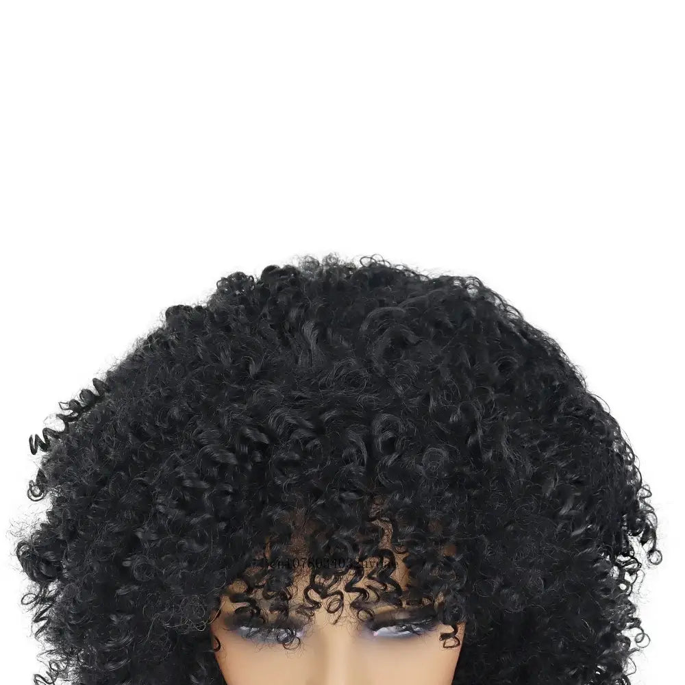 Shop New Arrivals: Trendy Afro Curly Wigs and More at Queen Afro - Jet-black