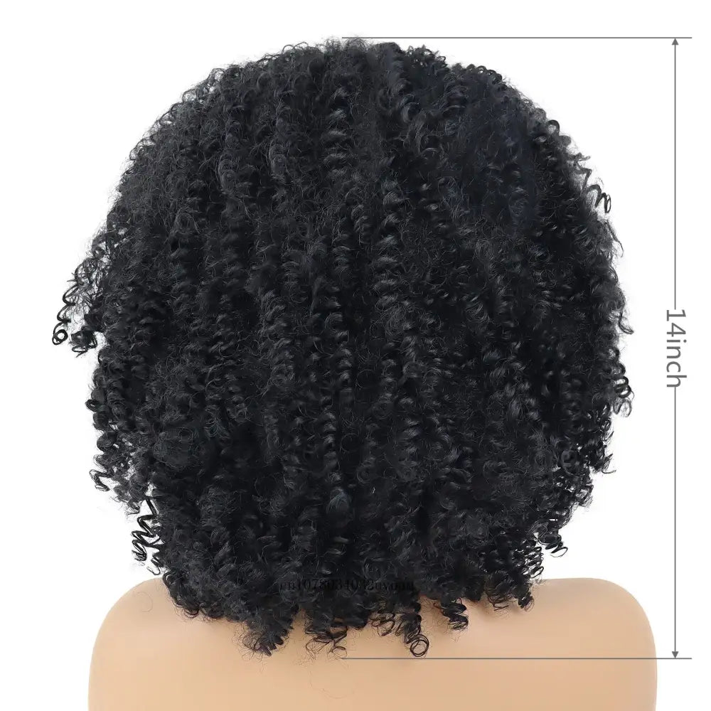 Shop New Arrivals: Trendy Afro Curly Wigs and More at Queen Afro - Jet-black