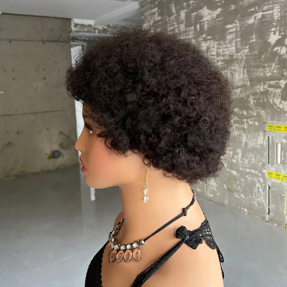 Trendy Afro Curly Brazilian Wigs for Radiant Style and Confidence - #1B / 4inches