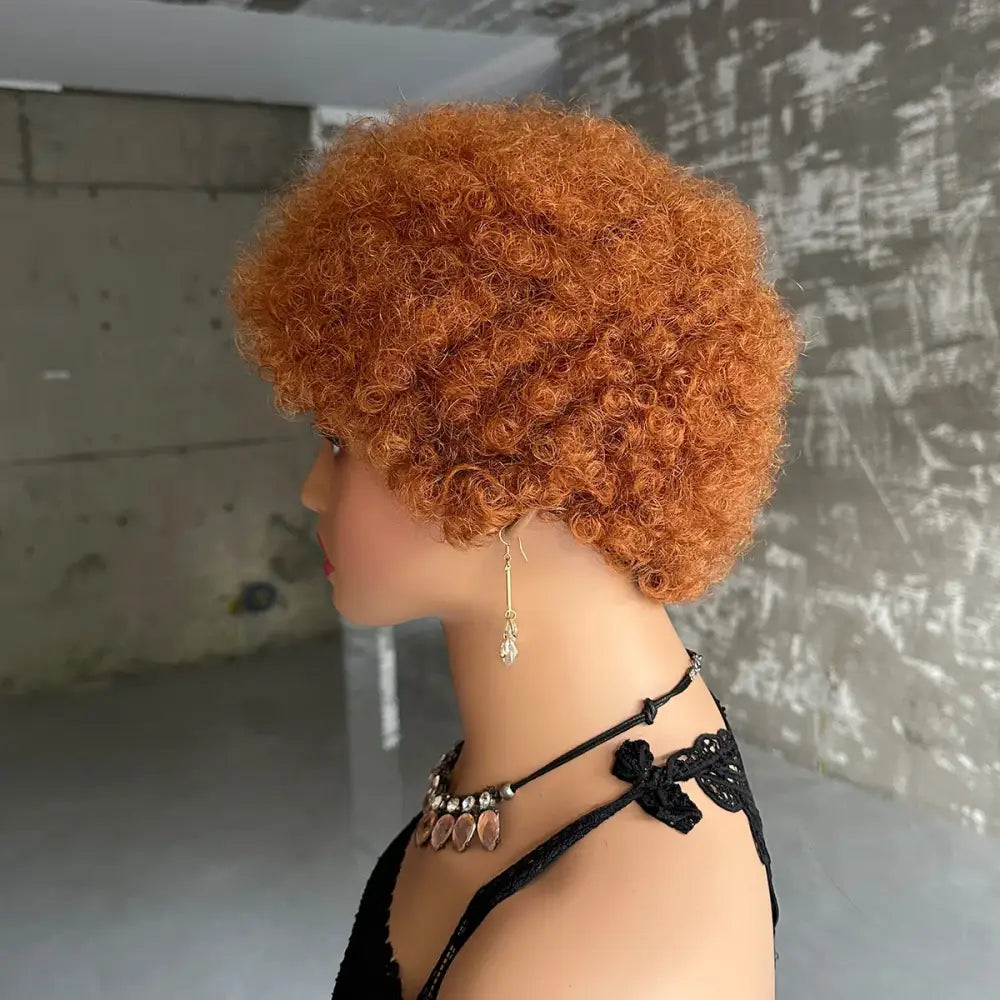 Trendy Afro Curly Brazilian Wigs for Radiant Style and Confidence - #30 / 4inches