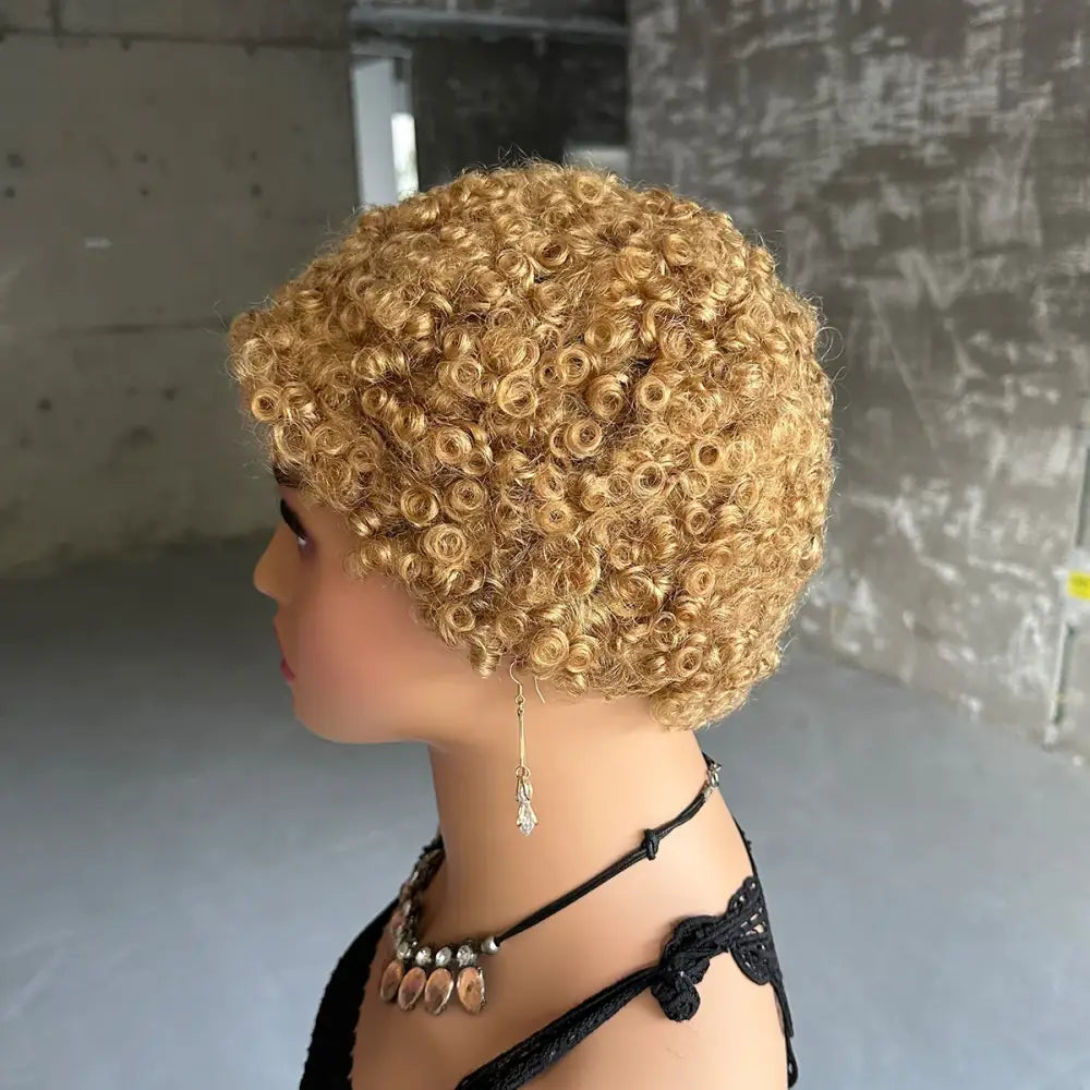 Trendy Kinky Curly Brown Pixie Wigs for a Unique Look - #27 / 4inches