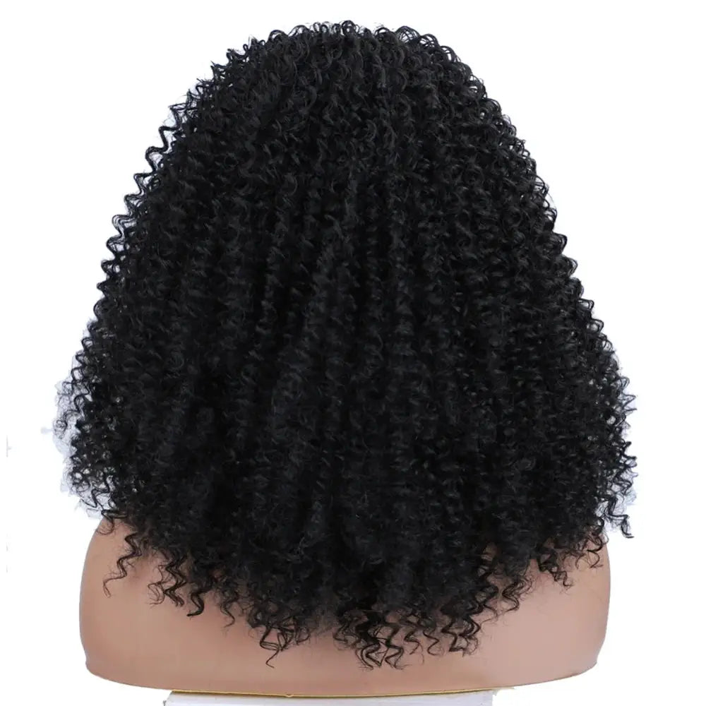 Trendy Kinky Curly Wigs for a Stylish Transformation