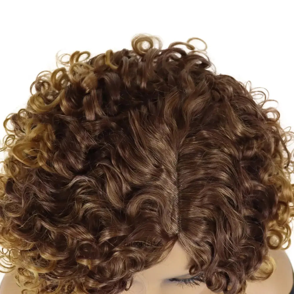 Trendy Wigs Collection: Stylish Water Wave Afro and Curly Options