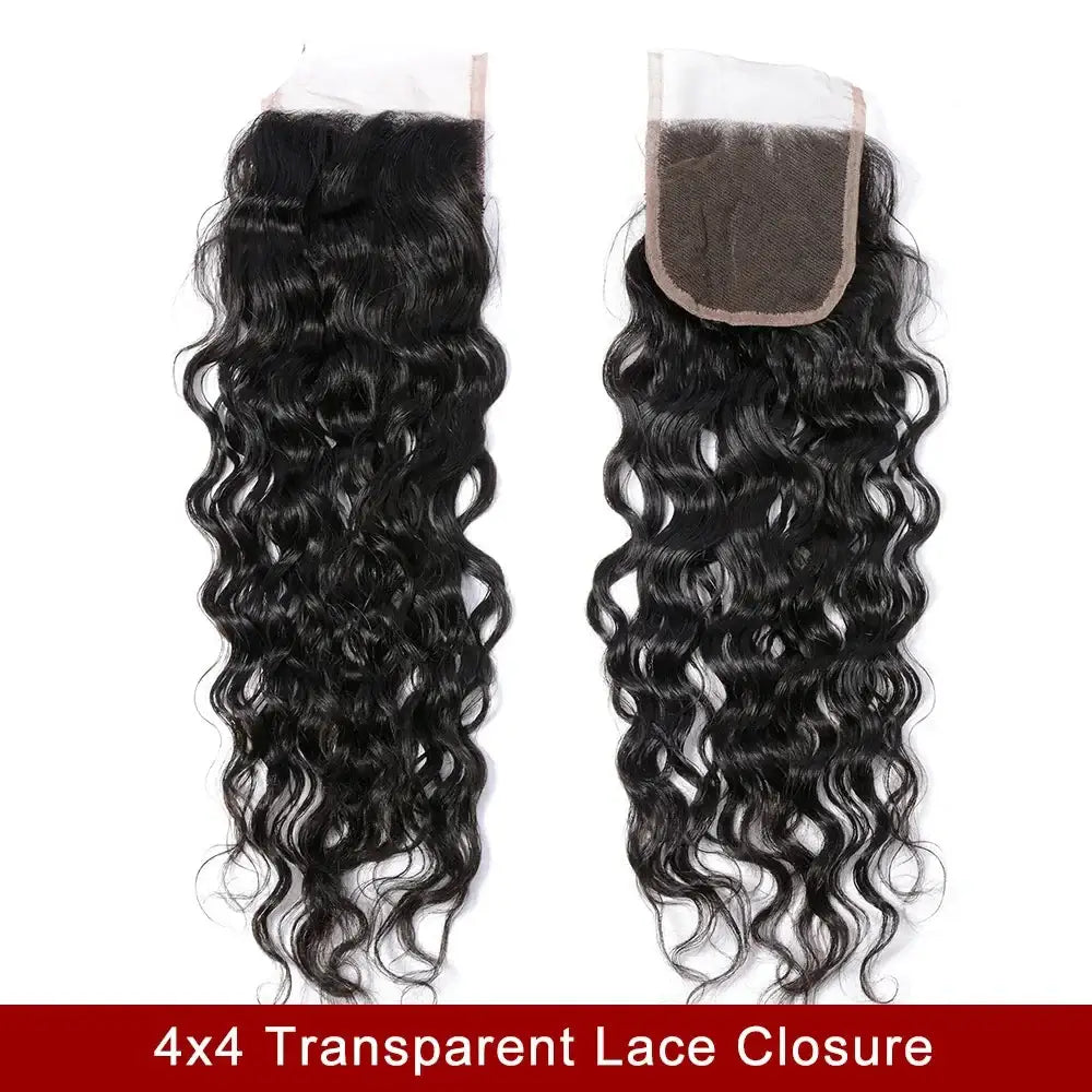 Trendy Wigs with Transparent Lace Closure for Unique Styles - 4x4 Lace Closure / 10inches | Free Part